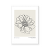 Botanic Outline I | Art Print