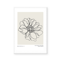 Botanic Outline I | Art Print