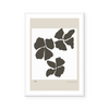 Whispering Petals III | Art Print