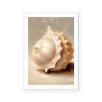 Painted Seashells I | Art Print