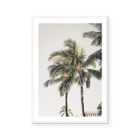 Quiet Palms | Art Print