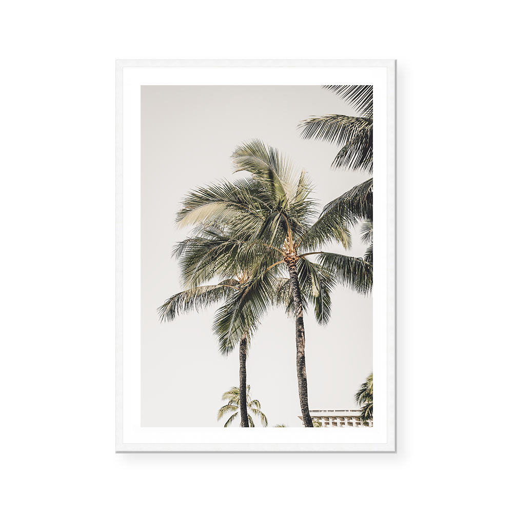 Quiet Palms | Art Print