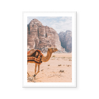 Camel In Wadi Rum II | Art Print