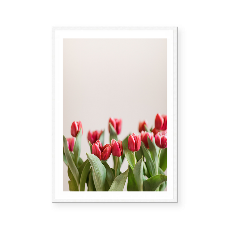 Tulips In Red II | Art Print