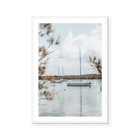 Camden Haven Serenity | Art Print