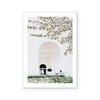 In Full Bloom | Art Print