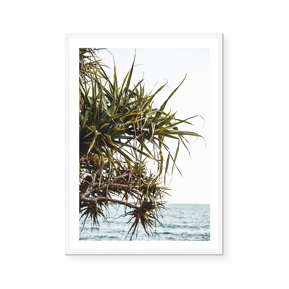 Yamba Beach, New South Wales | Art Print