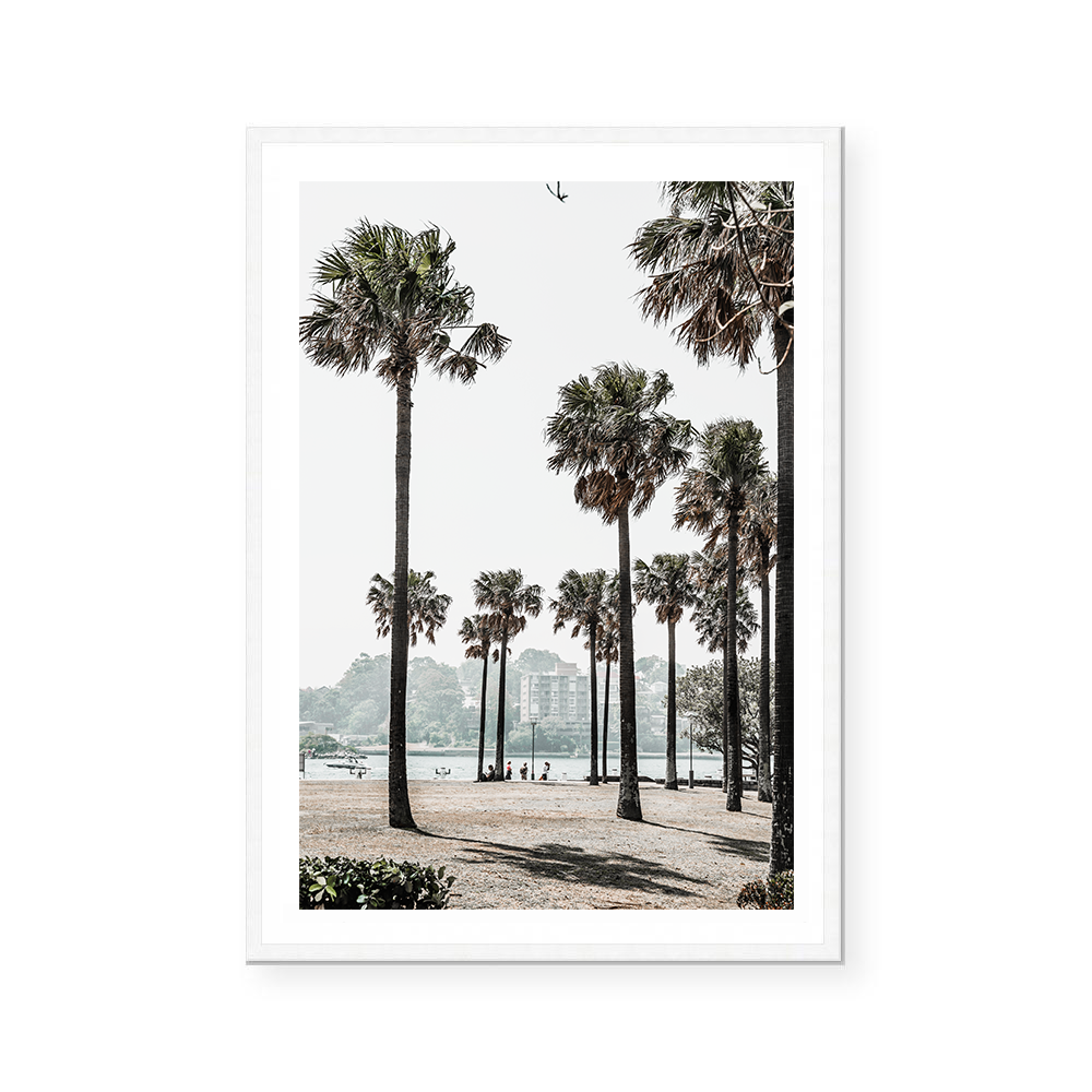 Palm Grove | Art Print
