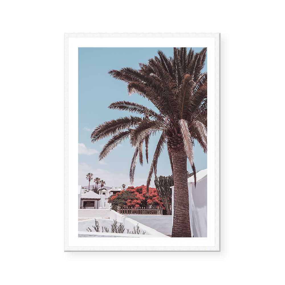 Modern Latitute | Art Print