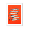 Sardines I | Art Print