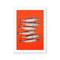 Sardines I | Art Print