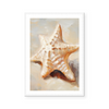 Painted Seashells II | Art Print
