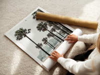Palm Grove | Art Print