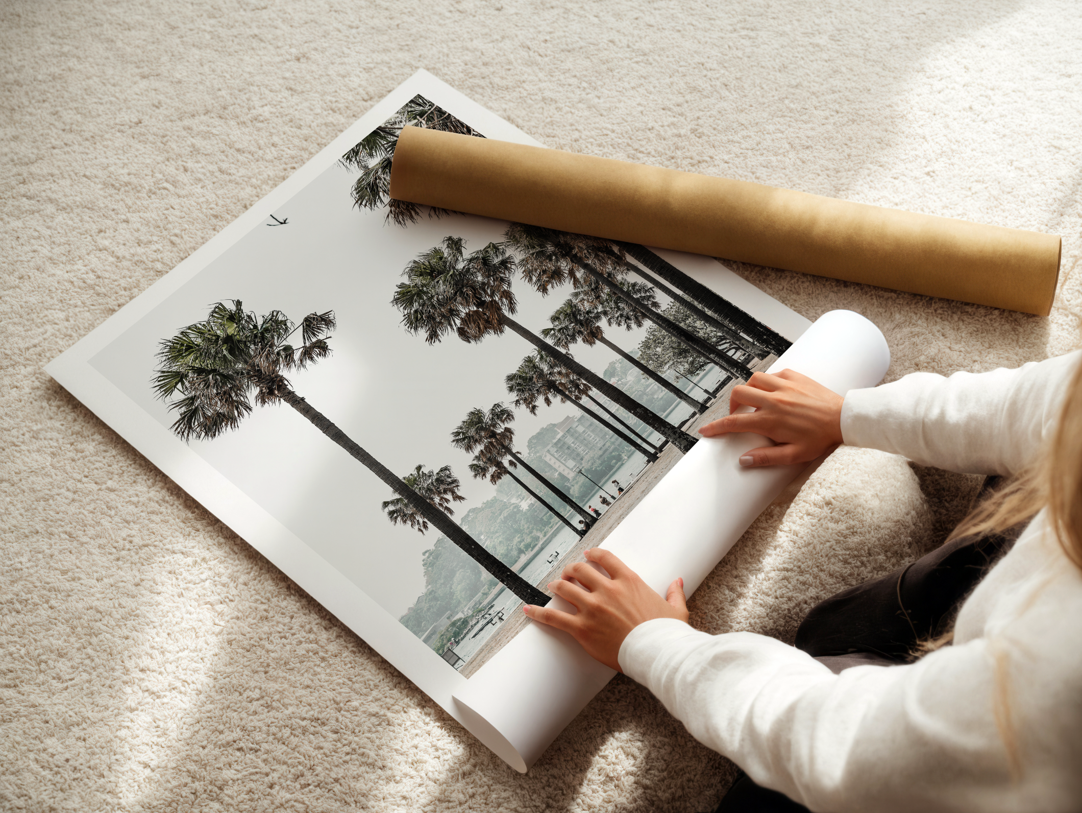 Palm Grove | Art Print