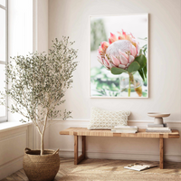 Blushing Protea | Art Print