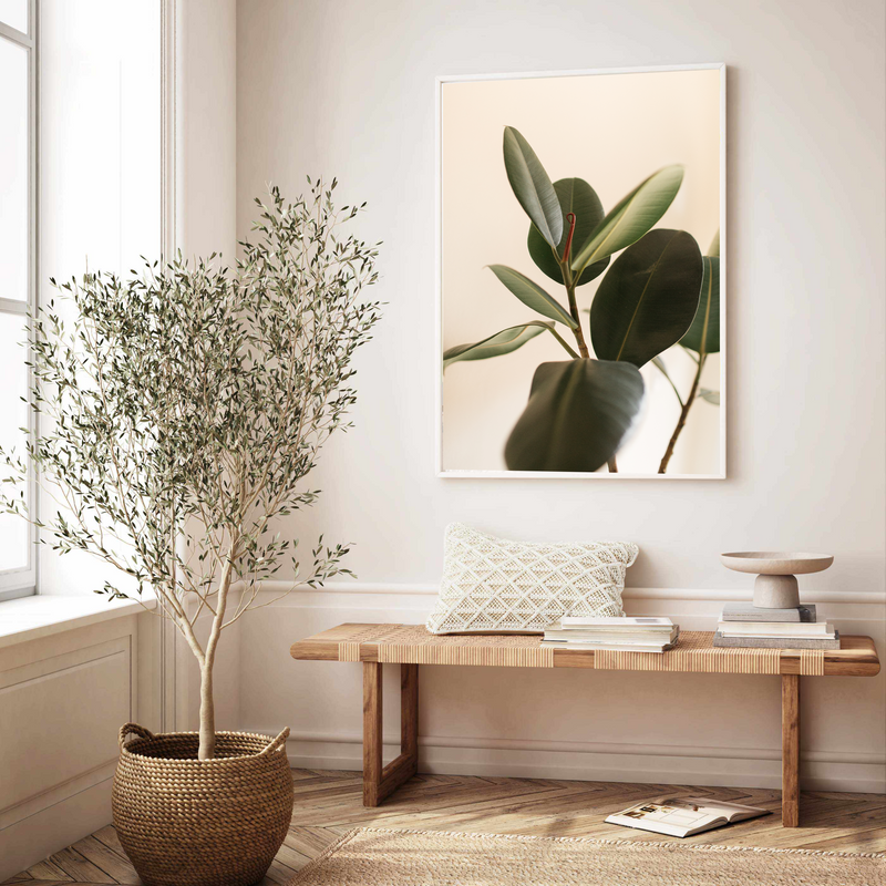 Blushing Ficus I | Art Print