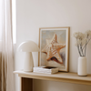 Painted Seashells II | Art Print