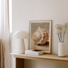 Painted Seashells I | Art Print