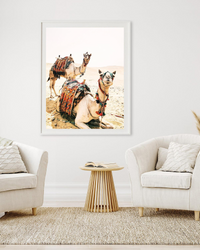 Desert Camel | Art Print