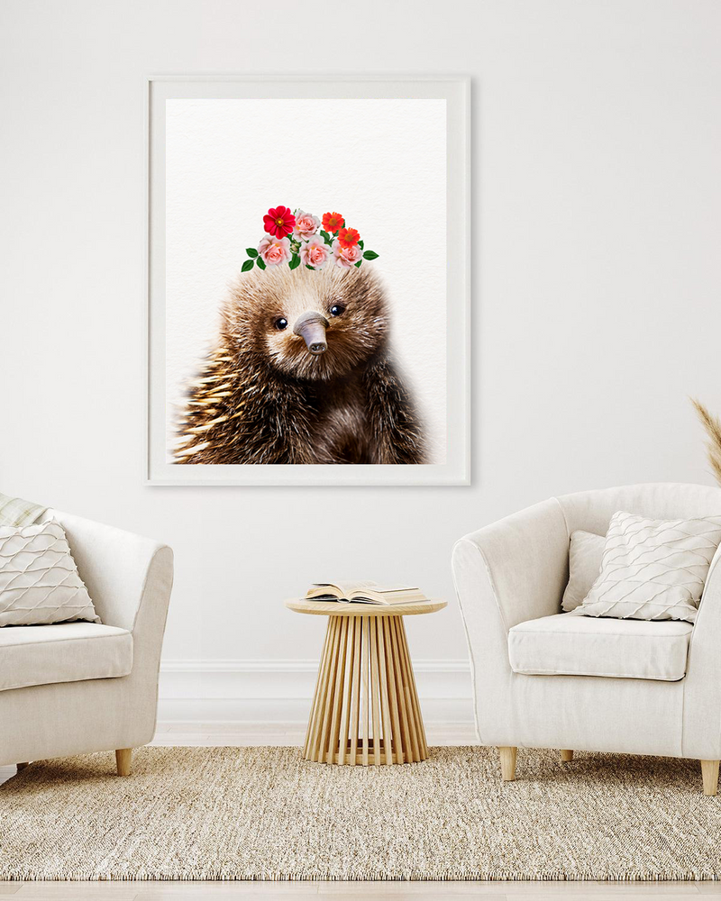 Echidna | Art Print