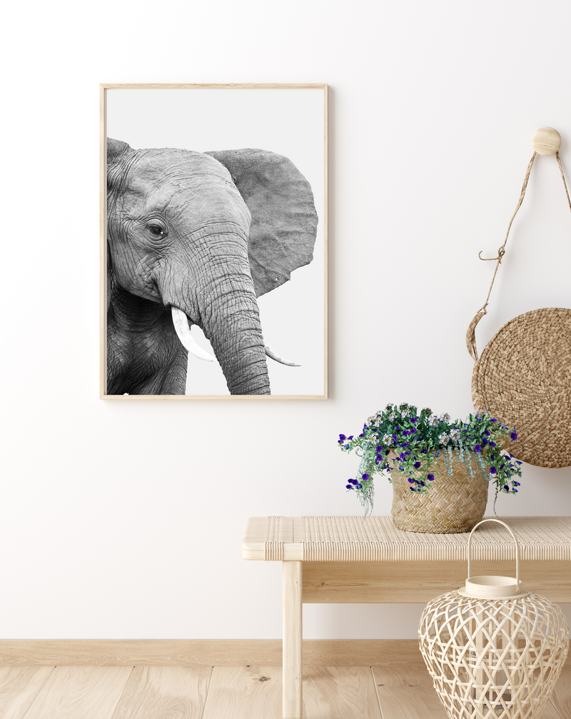 Elephant | Art Print