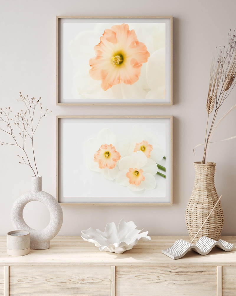 Pink Daffodils V | Art Print