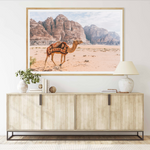 Camel In Wadi Rum III | Art Print