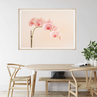 Pink Orchid | Art Print