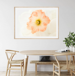 Pink Daffodils IV | Art Print