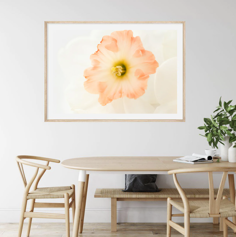 Pink Daffodils IV | Art Print