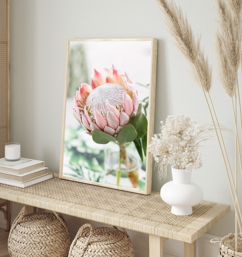 Blushing Protea | Art Print