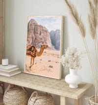 Camel In Wadi Rum II | Art Print