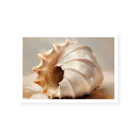 Painted Seashells III | Art Print