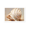 Painted Seashells IV | Art Print