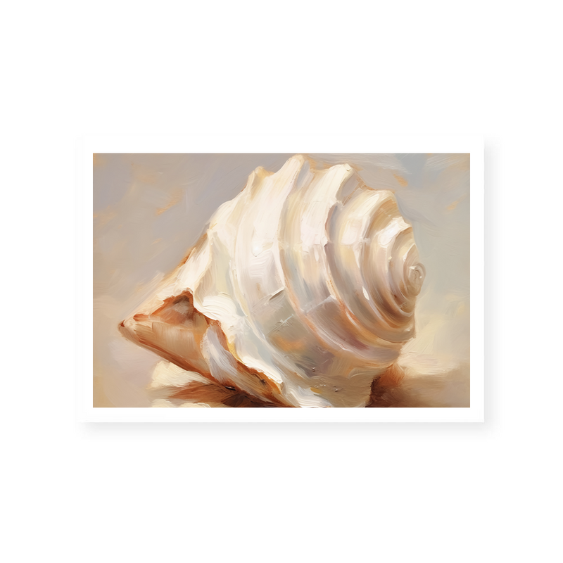 Painted Seashells IV | Art Print
