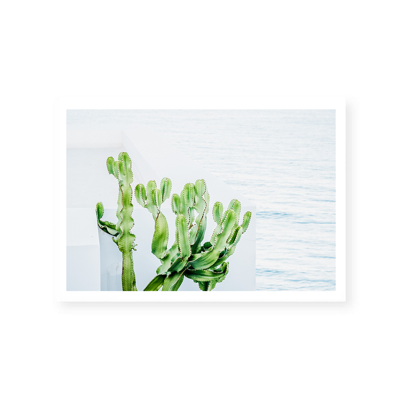 Cactus By The Sea | Art Print