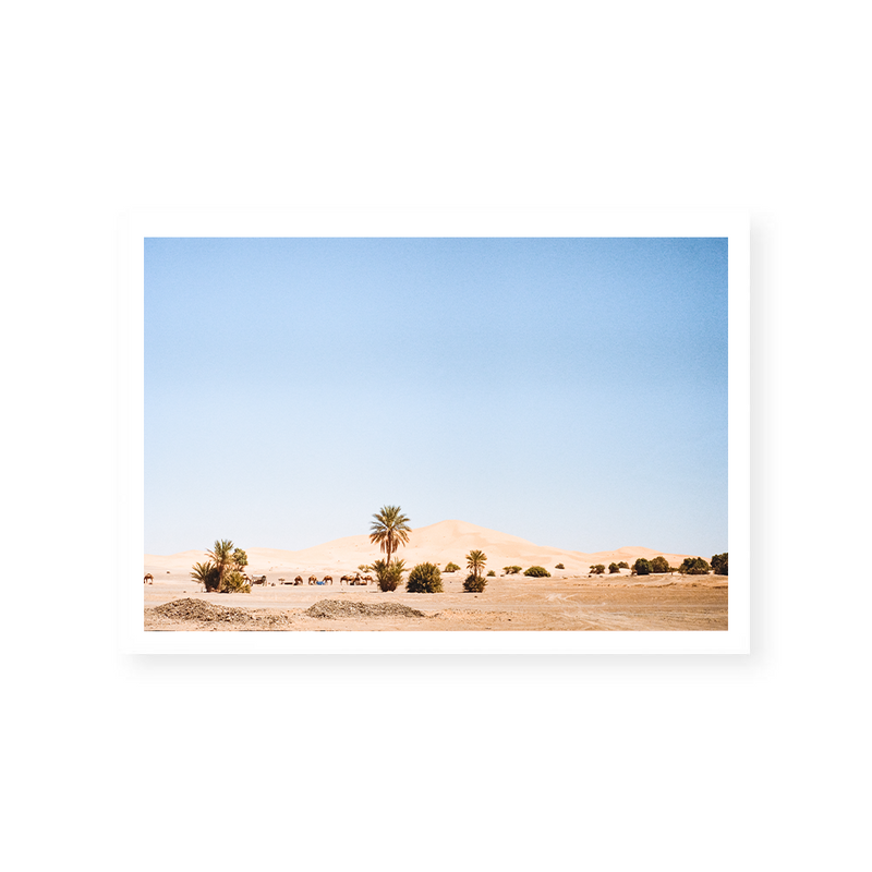 Camels Walking In The Desert | Art Print