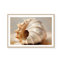 Painted Seashells III | Art Print