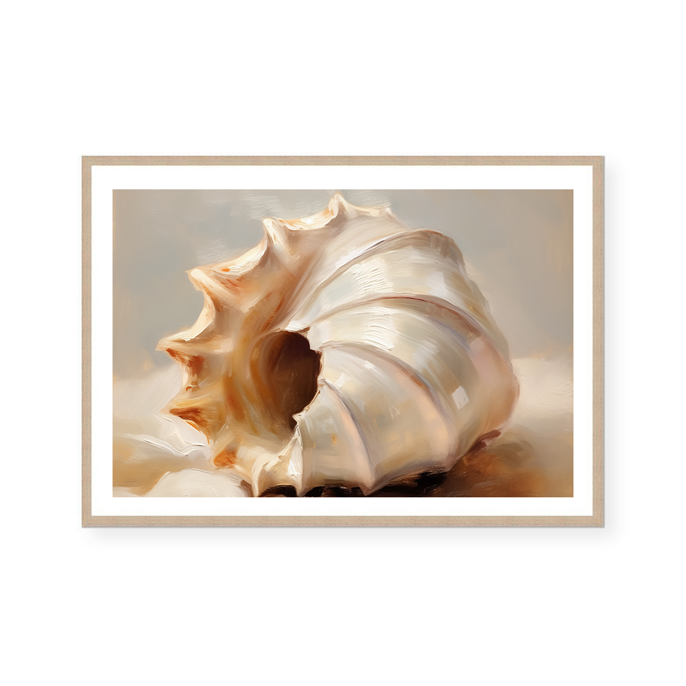 Painted Seashells III | Art Print