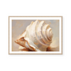 Painted Seashells IV | Art Print