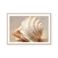 Painted Seashells IV | Art Print