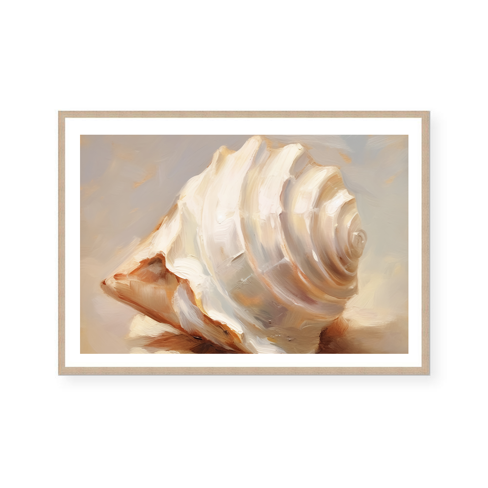 Painted Seashells IV | Art Print