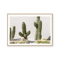 Cactus Study | Art Print
