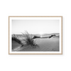 Sunset At Sardinia | B&W | Art Print