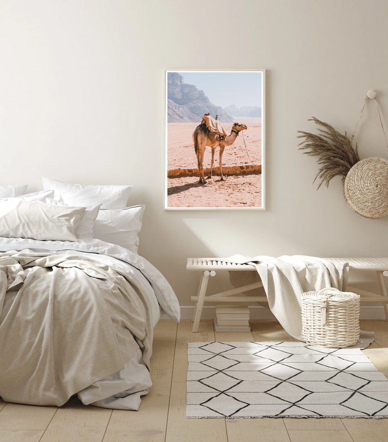 Camel In Wadi Rum I | Art Print