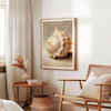 Painted Seashells I | Art Print