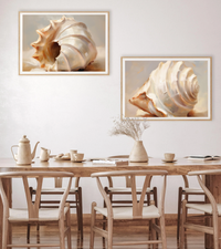 Painted Seashells IV | Art Print