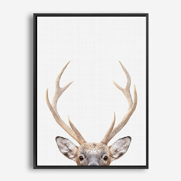 Antler | Canvas Print