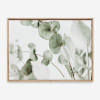 1 - CHANTRIA CANVAS