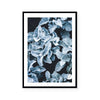 Cineraria | Art Print